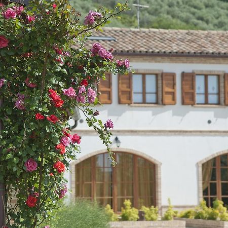 Terra Del Sole Βίλα Ρεκανάτι Εξωτερικό φωτογραφία